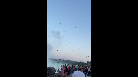 Beautiful mist at Niagra Falls