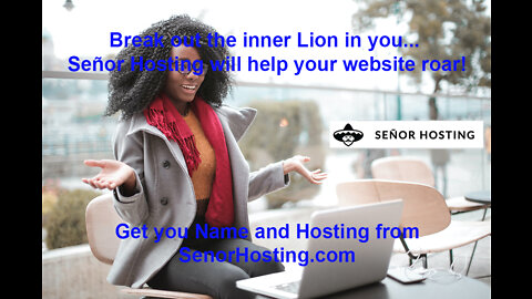 Domains and Hosting SenorHosting best in the market