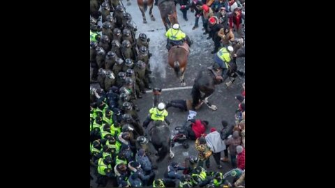 Elderly, disabled Woman trampled by Ottawa Police Horse