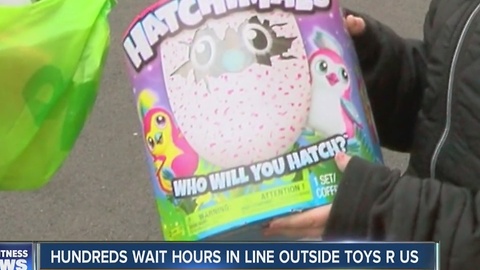 Hatchimals in Toys R Us