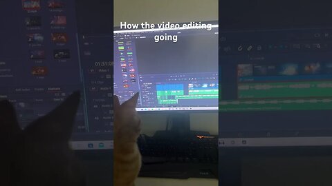 #cats #meme #videoediting