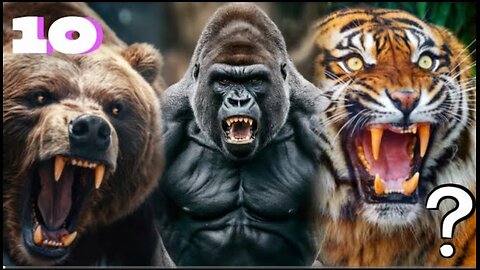 Top 10 Strongest Animals in the World | Incredible Animal Strength. #animals