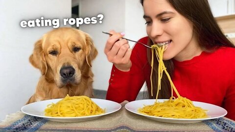 My Dog Takes Part in a Spaghetti Eating Competition