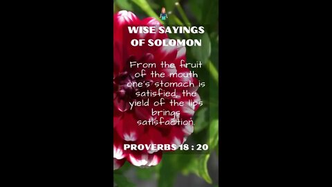 Proverbs 18:20 | NRSV Bible - Wise Sayings of Solomon