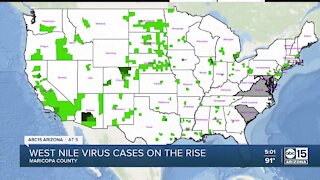 West Nile Virus cases on the rise in Maricopa County