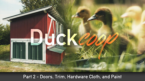 The Ducks Arrive and We Finish the Coop: DIY Duck Coop - Part Two