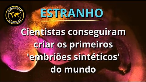 FIM DO SEXO ? : CIENTISTAS CRIAM EMBRIÕES SINTÉTICOS