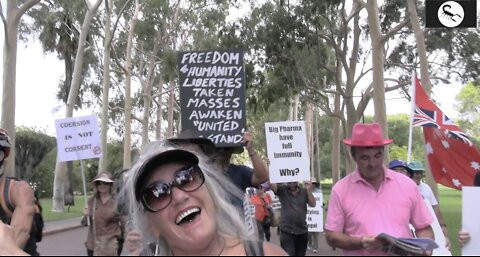 Perth Pink Panther Strikes the Premiers Office