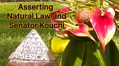 Asserting Natural Law and Senator Kouchi