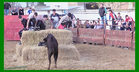 BISIMBRE ( ZARAGOZA ) TARDE NOVILLAS EN PLAZA ( SÁBADO 9 DICIEMBRE 2023 ) GANAD.EL RUISEÑOR