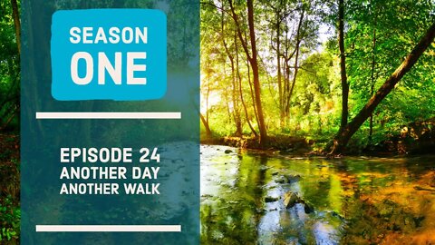 Another Day, Another Walk | Season 1 - Ep24 | NATURE WALK [ 4K HDR ] | Nature Relaxed Walking |