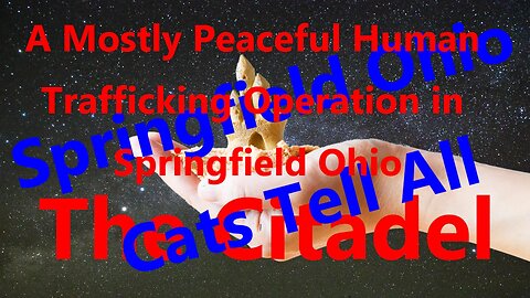 A Mostly Peaceful Human Trafficking Operation in Springfield Ohio (Springfield Cats Tell All)