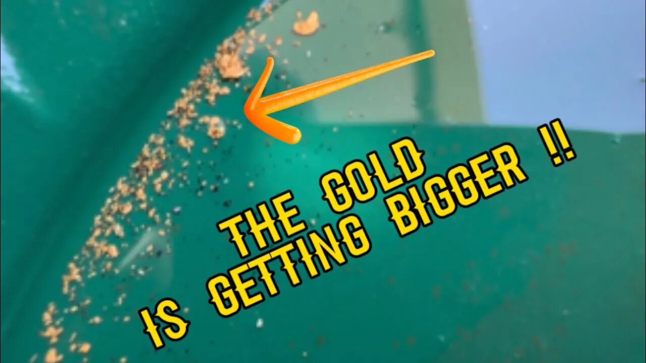 This New Spot Has So Much Better GOLD!!!