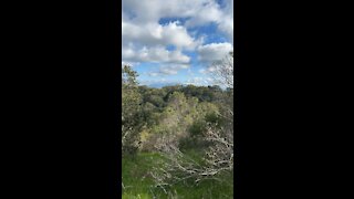 Clouds Timelapse