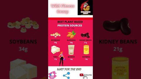 🔥Best plant based protein sources🔥#shorts🔥#wildfitnessgroup🔥10 April 2022🔥