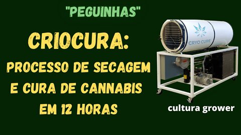 CRIAOCURA NA CANNABIS