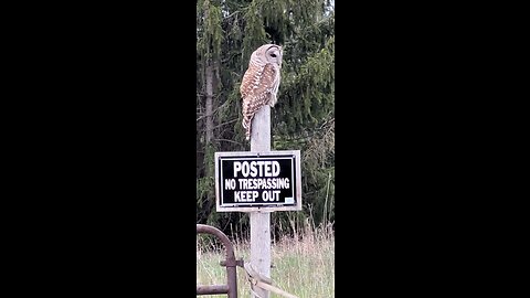 Out here just chillin✌🏻 #nature #outdoors #cool #adventure #hunting #