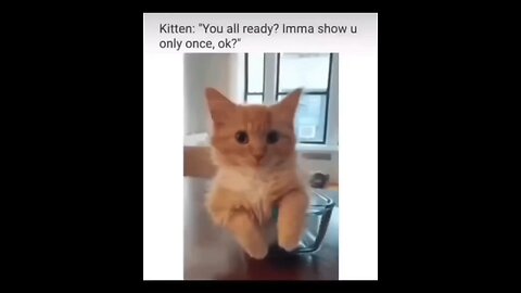 kitten you allready imma showu only once ok?