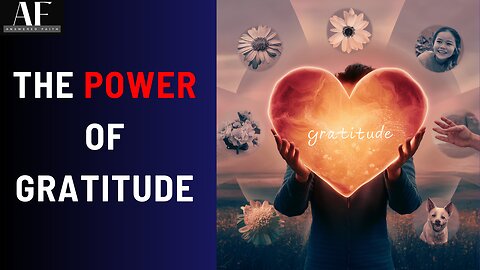 The Power Of Gratitude