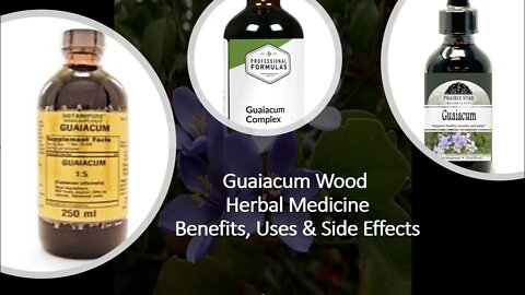 Guaiacum Wood - Herbal Medicine - Benefits, Uses & Side Effects