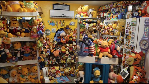 Waukesha woman keeps breaking her own Winnie the Pooh world record