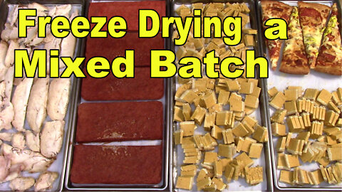 Freeze Drying a Very Mixed Batch