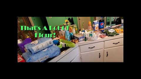 Walmart Haul / Aldi Haul *35 Pounds Of Flour* Family of 5