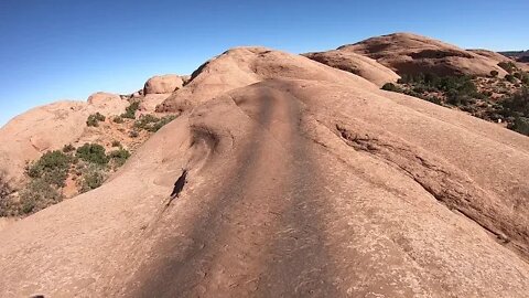 Baby Lions Back Moab on the Dirt Bike