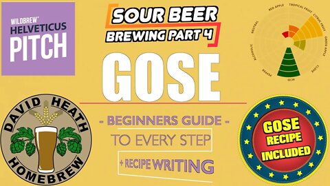 Gose Sour Beer Style Guide 🍻 Sour Beer Brewing Part 4