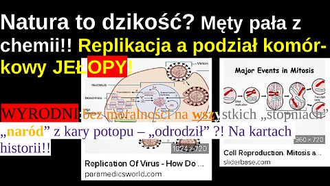 Natura to dzikość? Męty pała z chemii!! Tępe Jełopy:! Replikacja to nie Podział Komórkowy!