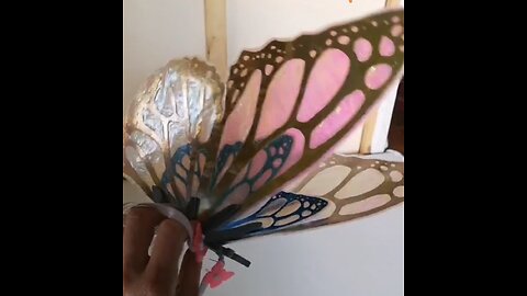 Wings i make 🦋