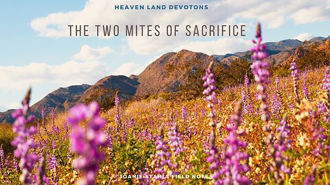 Heaven Land Devotions - The Mites of Sacrifice