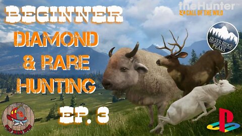 Beginner Diamond & Rare hunting Ep. 3 theHunter Call of the Wild