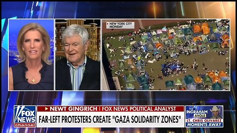 Newt Gingrich: Arrest Pro Hamas Protestors On College Campuses