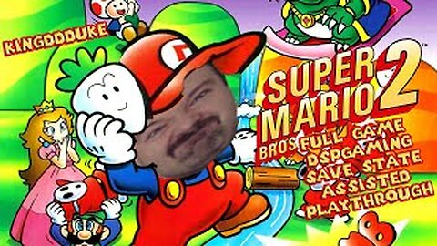 This is How You DO Play Super Mario Bros 2 USA by DSPGaming - KingDDDuke