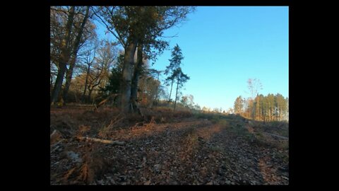 Rough ride, Saarland on the Conway S429