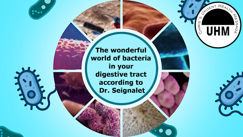 The wonderful world of bacteria in your gut according to Dr. Seignalet