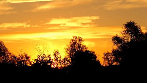 Ambiente matutino cerca del pueblo . En el Cáucaso Sonidos de la naturaleza La vida en el pueblo