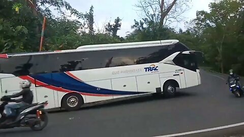 Truk Tangki Truk Oleng Truk Molen Bus Pariwisata