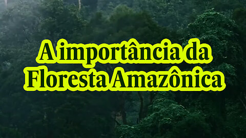 A importância da Floresta Amazônica