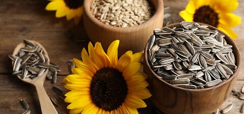 7 Health Benefits of Sunflower Seeds