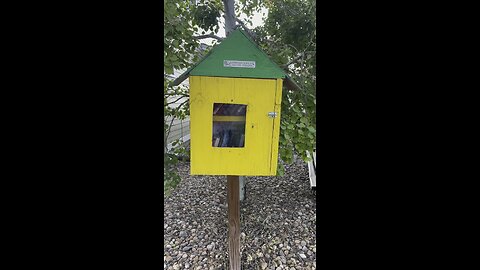 Little free library in USA