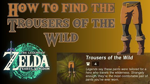 How to Find the Trousers of the Wild in The Legend of Zelda: Tears of the Kingdom!!! #totk