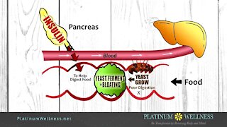 Need to lose some weight? Platinum Wellness can help!