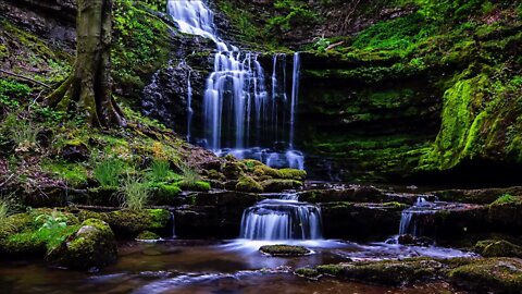 Mountain Creek. Waterfall and tropical birds. The croaking of frogs.