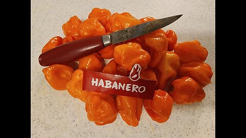 Habanero and Scotch Bonnet Jelly. Sweet and Extra Spicy!