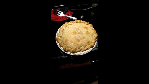 Eating Homemade Chicken Pot Pie Made By My Wife, Dbn, MI, 9/19/24