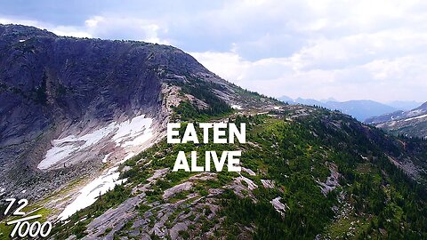 SOUL DESTROYING Mosquitoes on the Most MAJESTIC MOUNTAIN! | Hiking Needle Peak, Flatiron |Vanlife BC