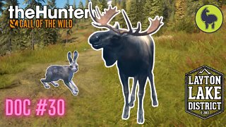 The Hunter: Call of the Wild, Doc #30 Layton Lakes