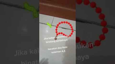 Doa Nabi Sulaiman bila bertemu Binatang berbahaya